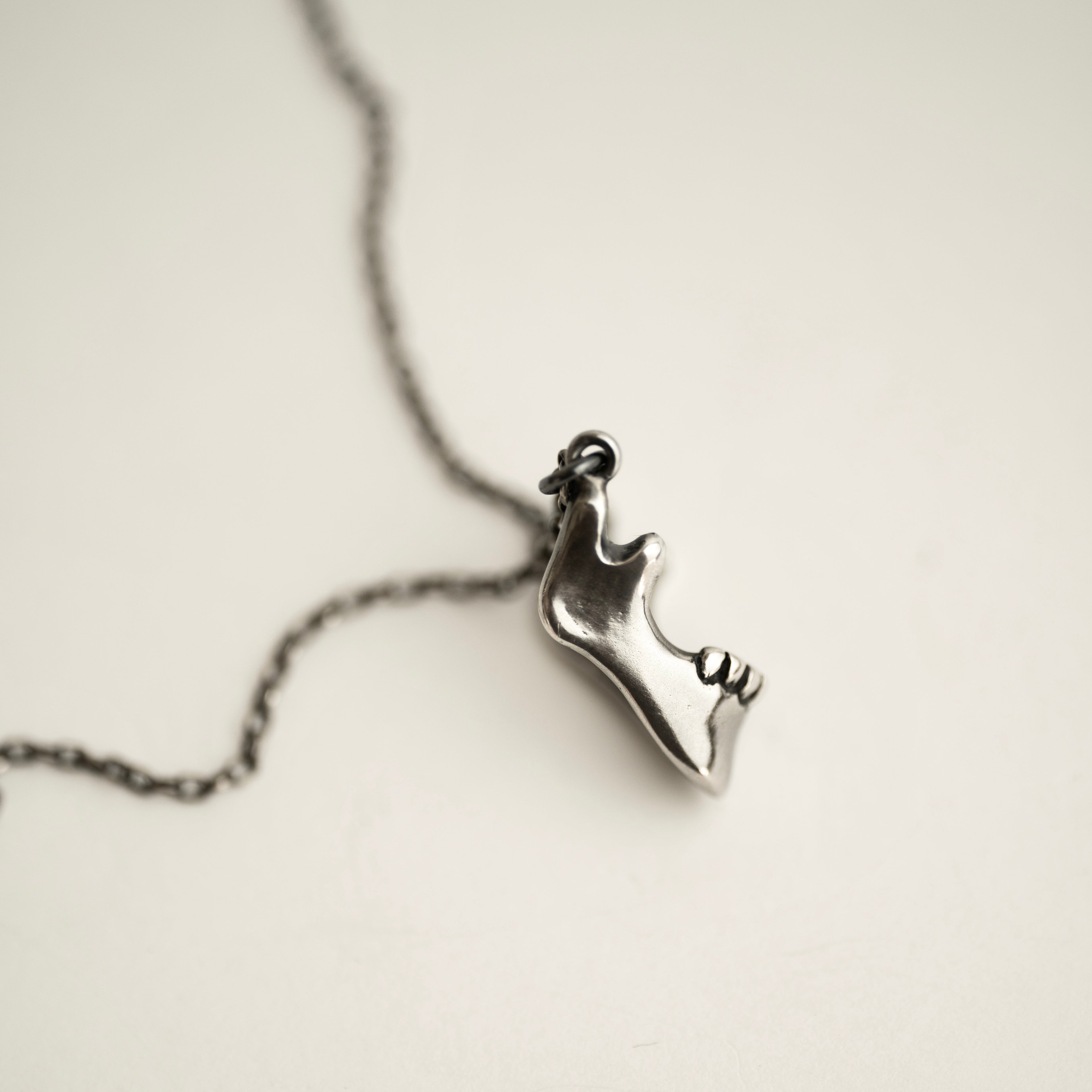 Silver Skull Jaw jewel on a bright background - sharp sterling silver jewelry