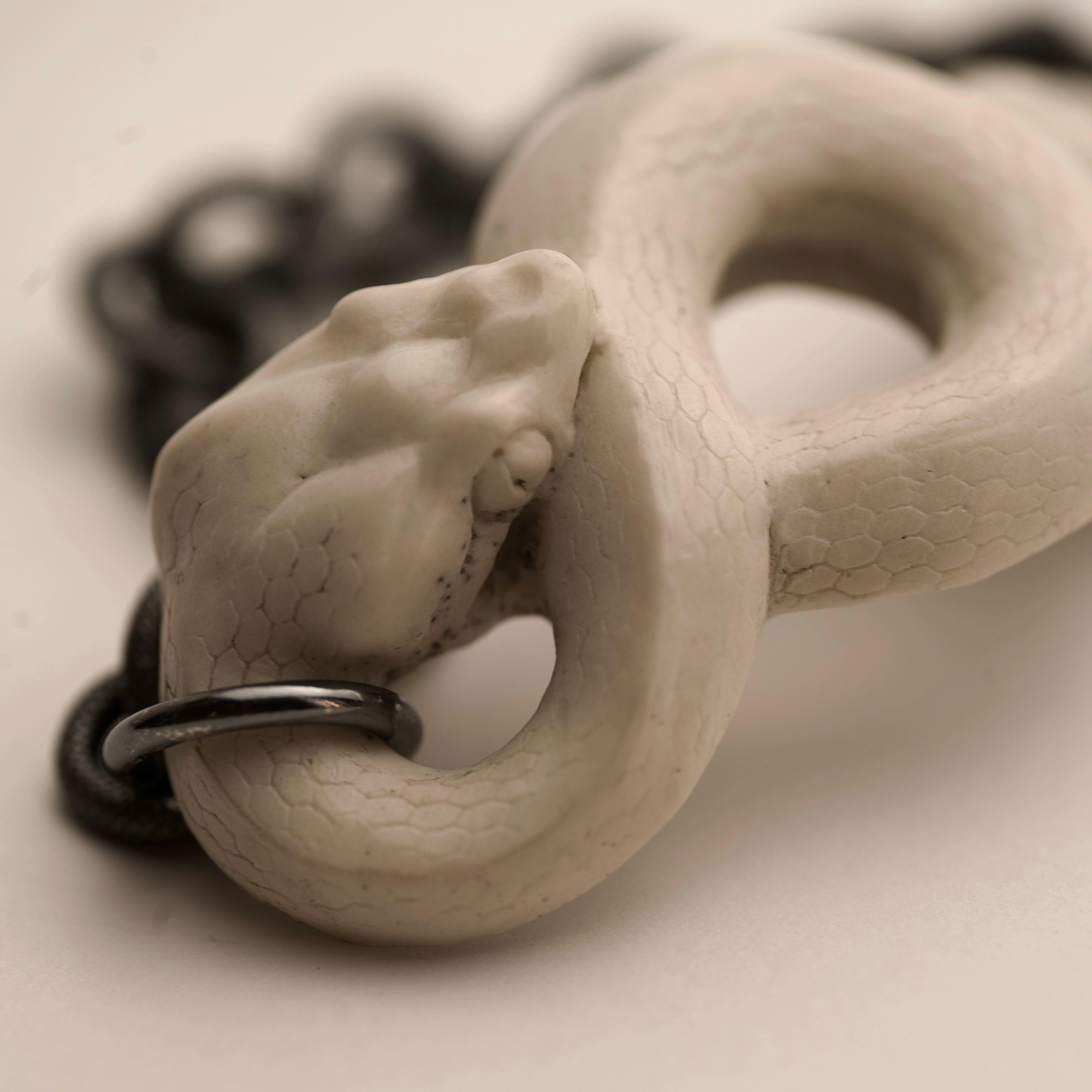 White Snake bracelet - close up on a serpent’s head with a shiny silver bracelet on its neck