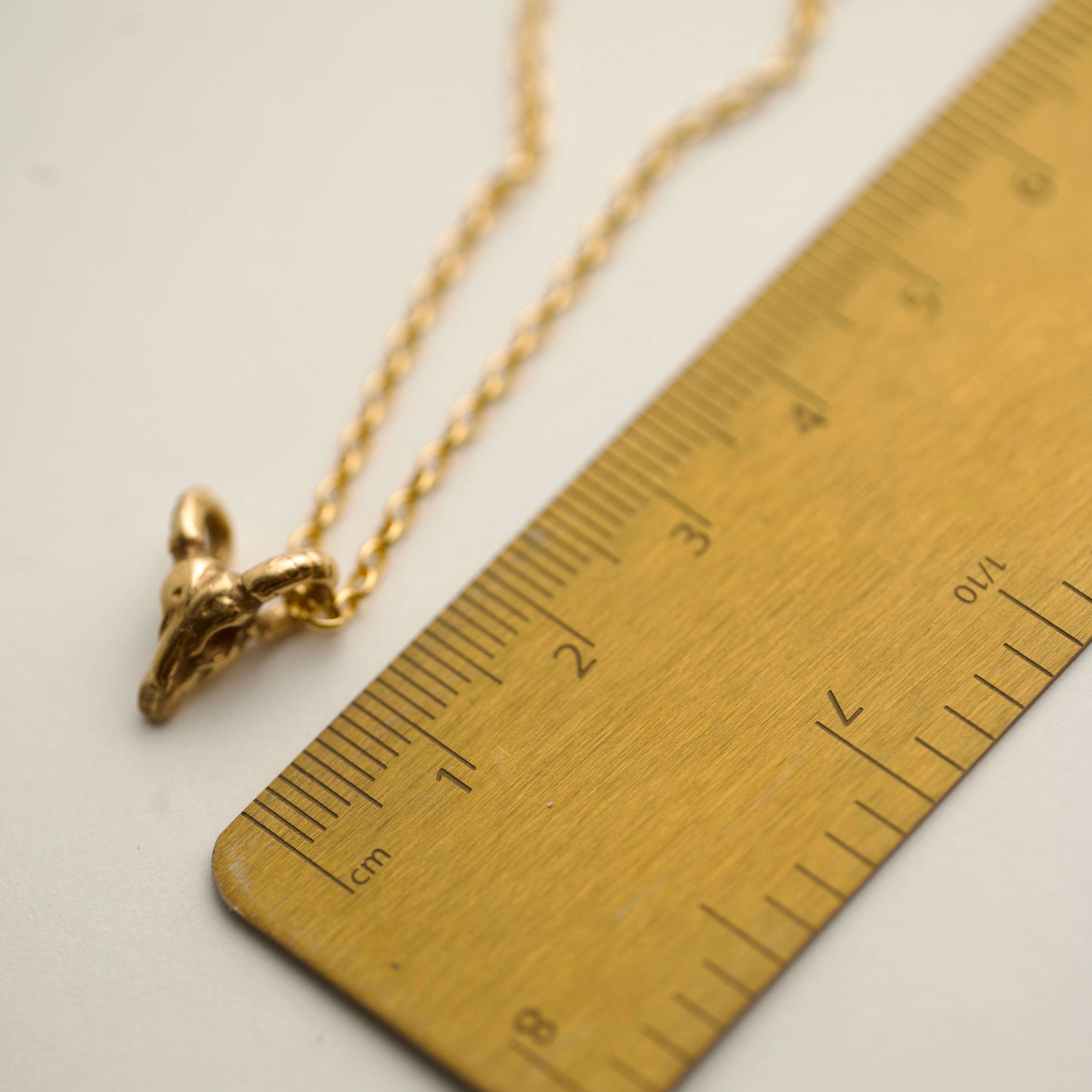 Ram Skull necklace against a ruler - to demonstrate real dimensions of the charm