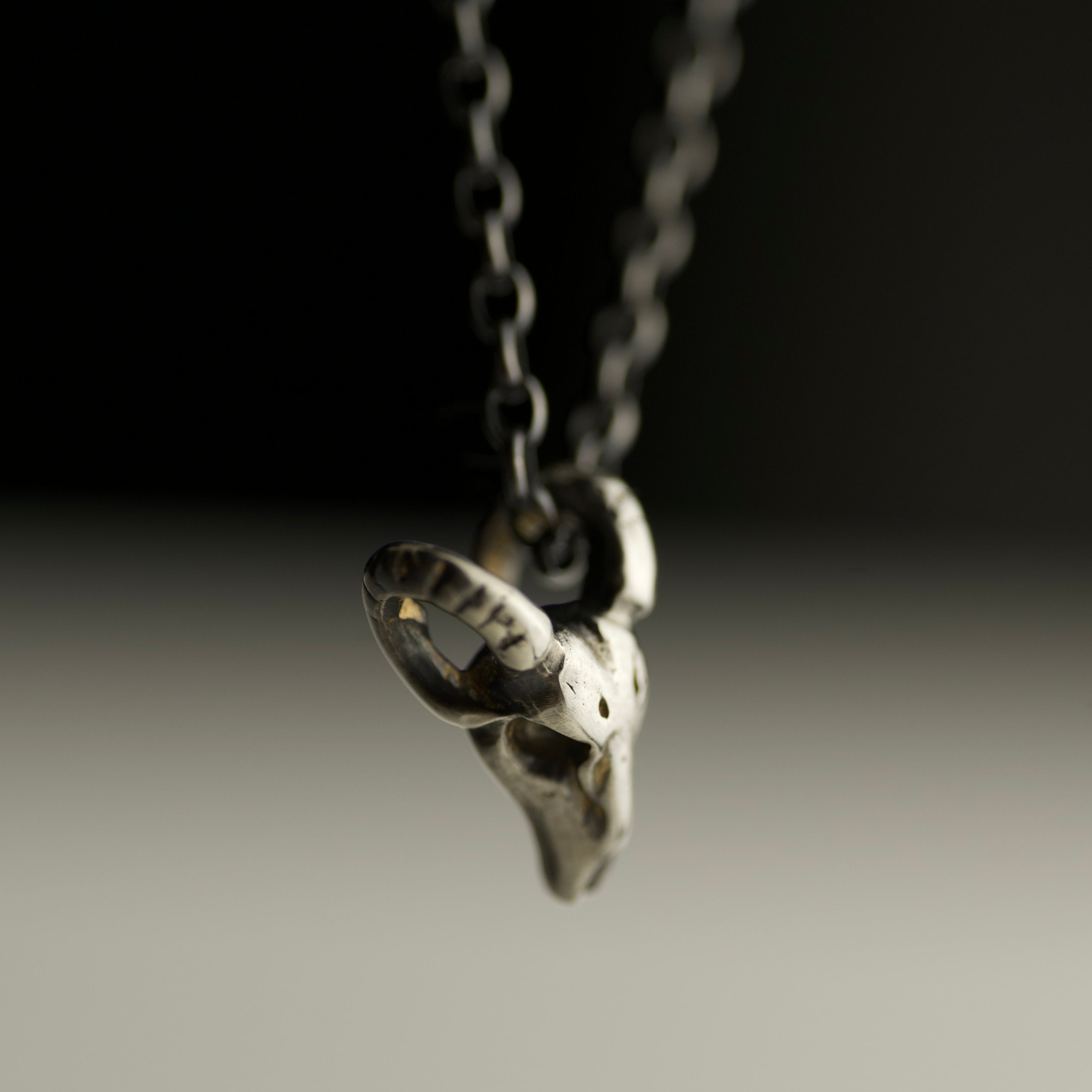 Silver Ram Skull pendant on a chain against a dark background