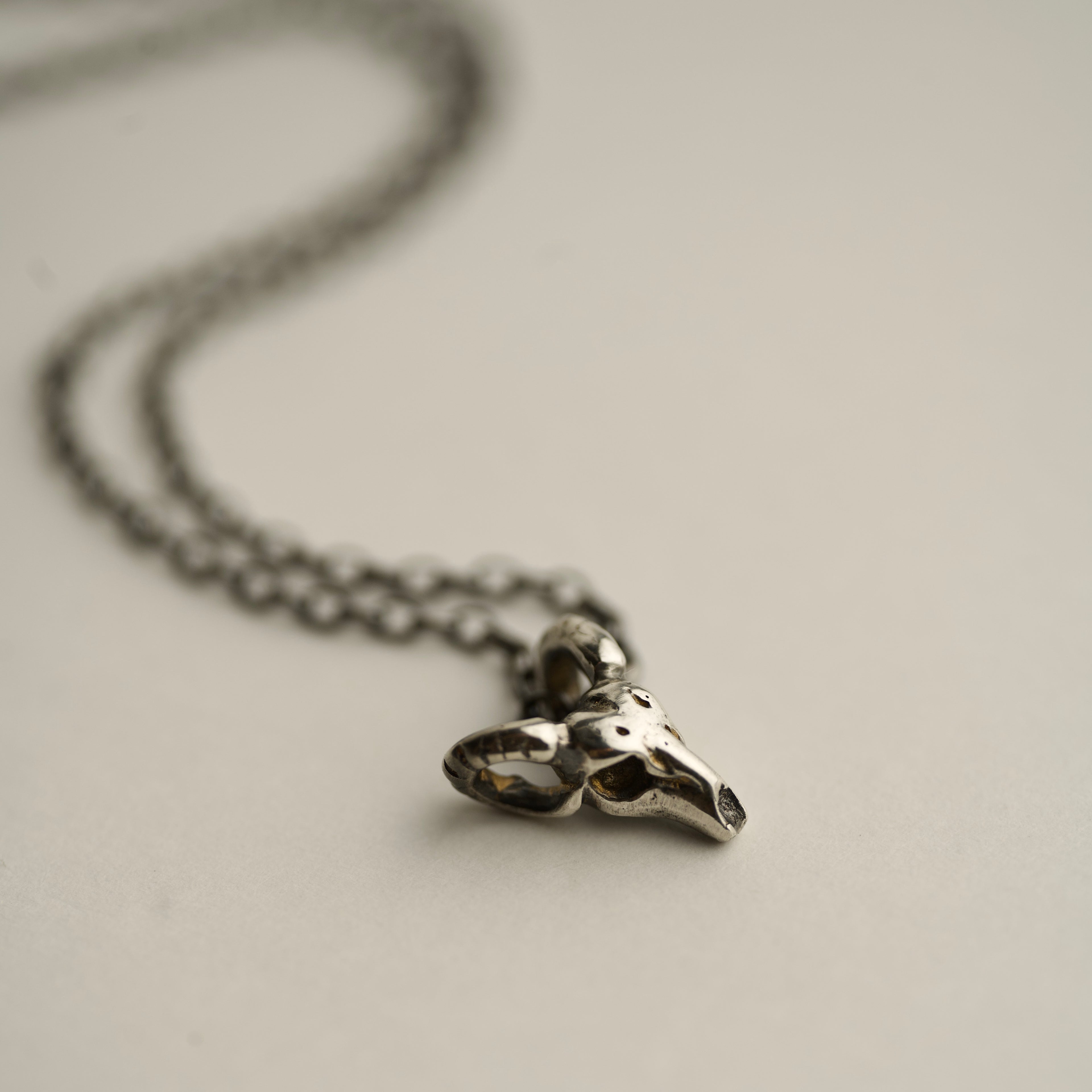 Silver Ram Skull pendant on a chain necklace placed on a light background - mythology jewelry representation shot
