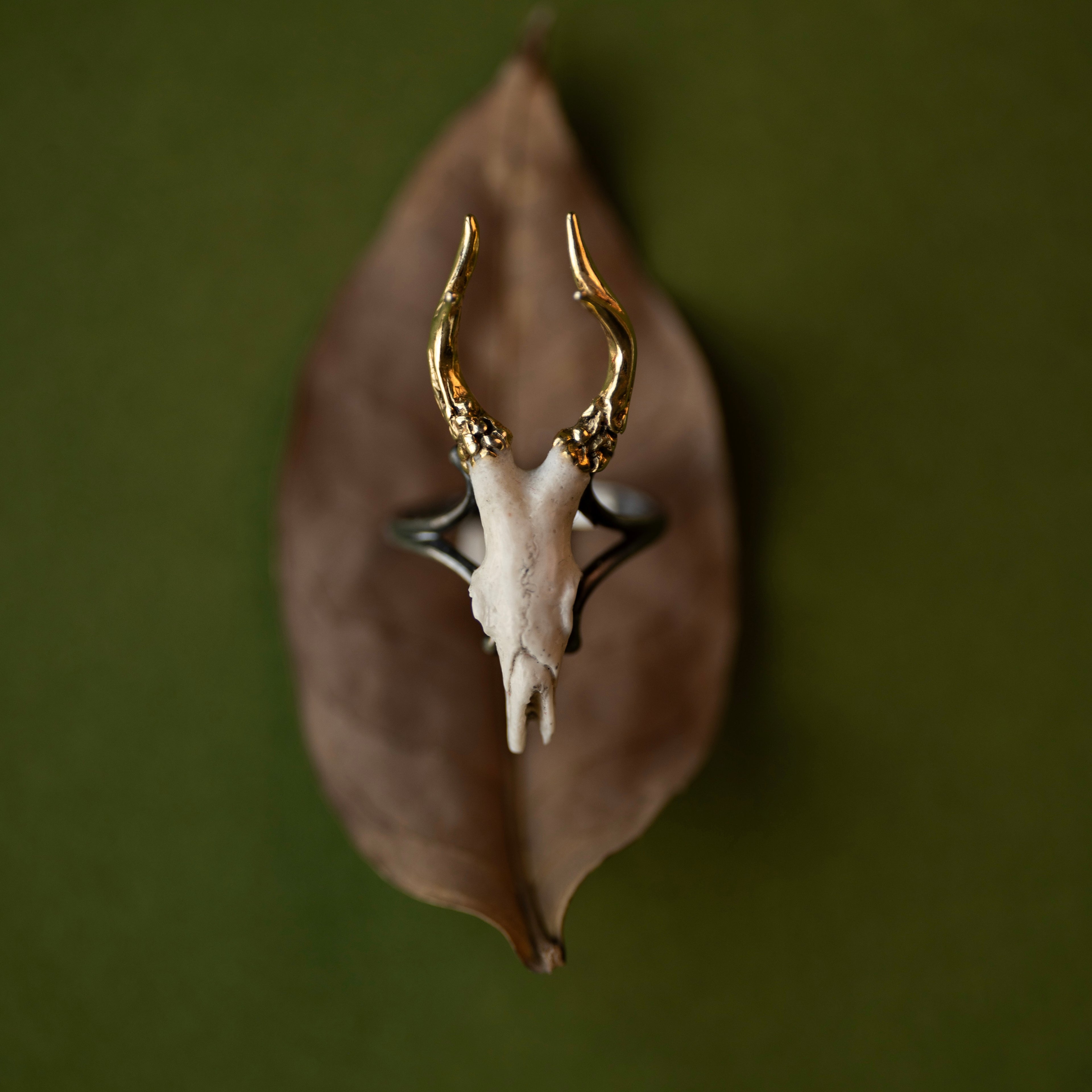Doe Skull ring