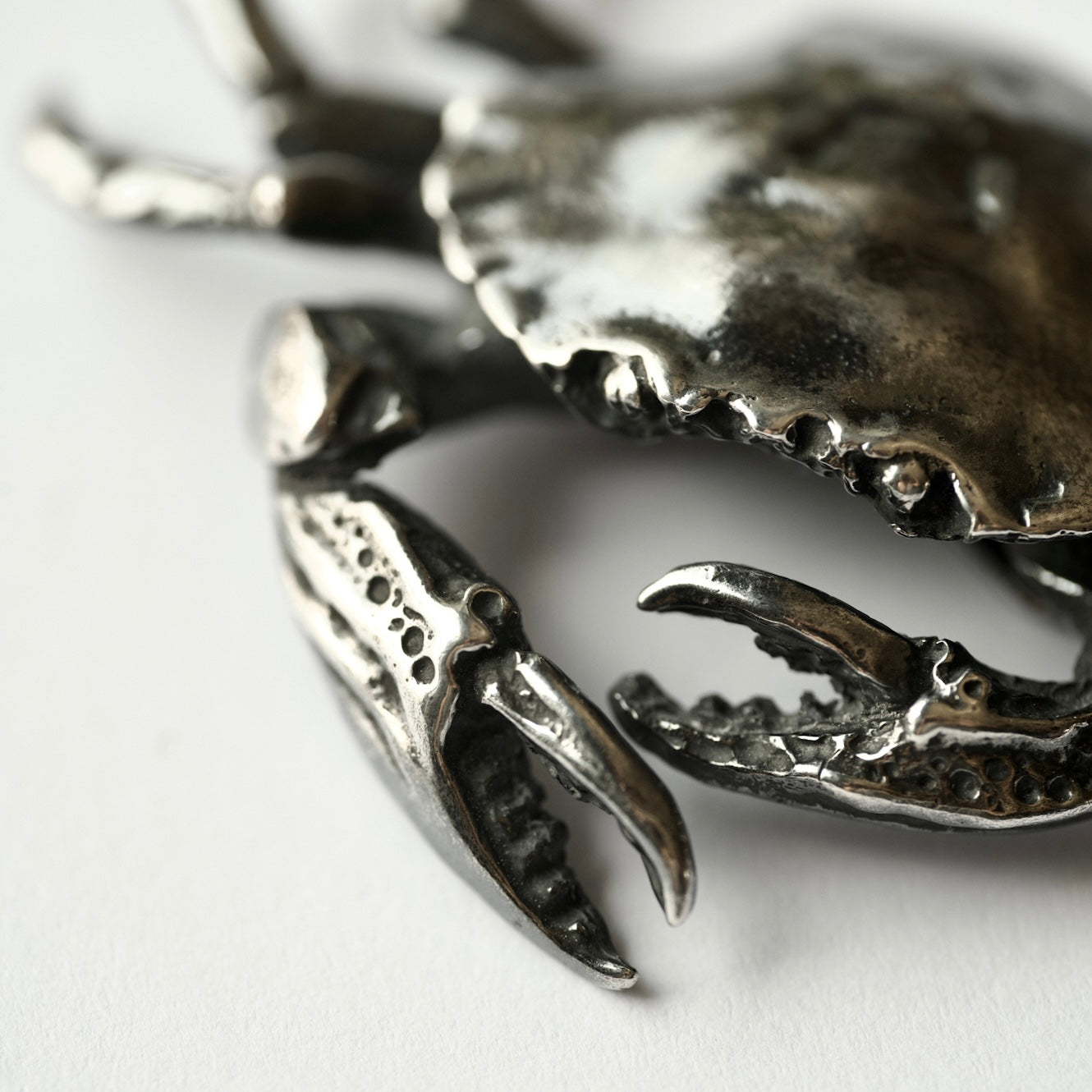 Close-up of a silver crab claw on a white background
