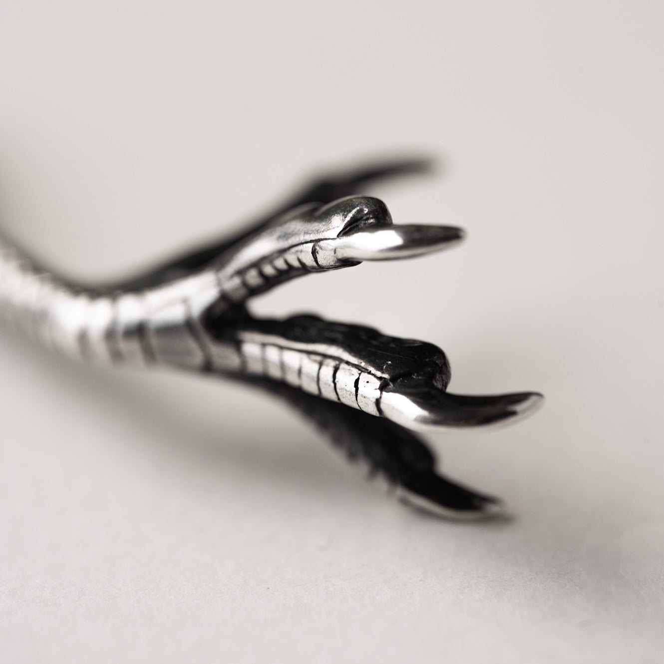 Bird Claw Charm