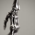 Silver Skeleton Arm pendant - close up on a  wrist joint  with focus on carpal bones and polished silver surface of gothic charm