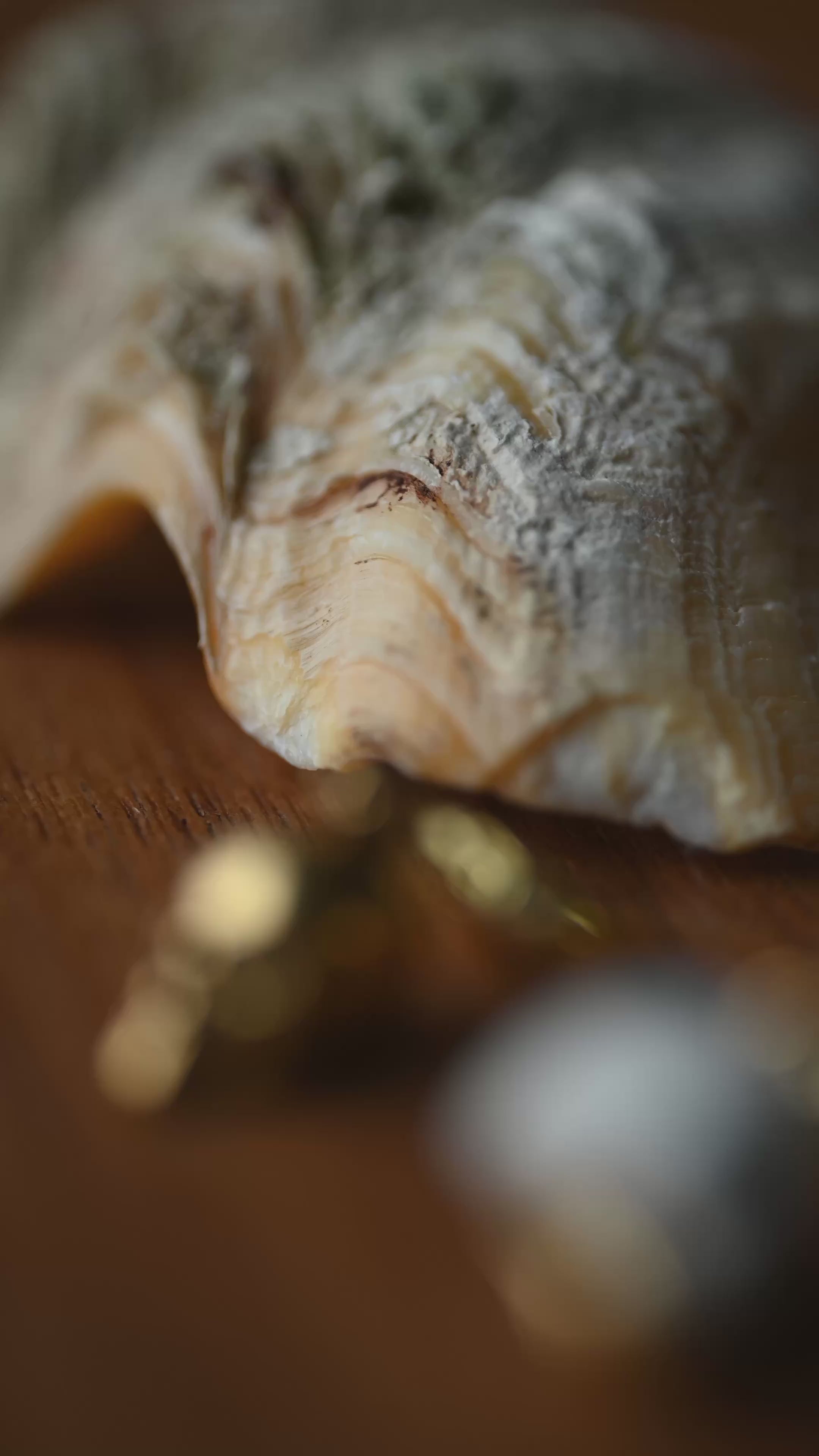 Silver Skull earring - last items