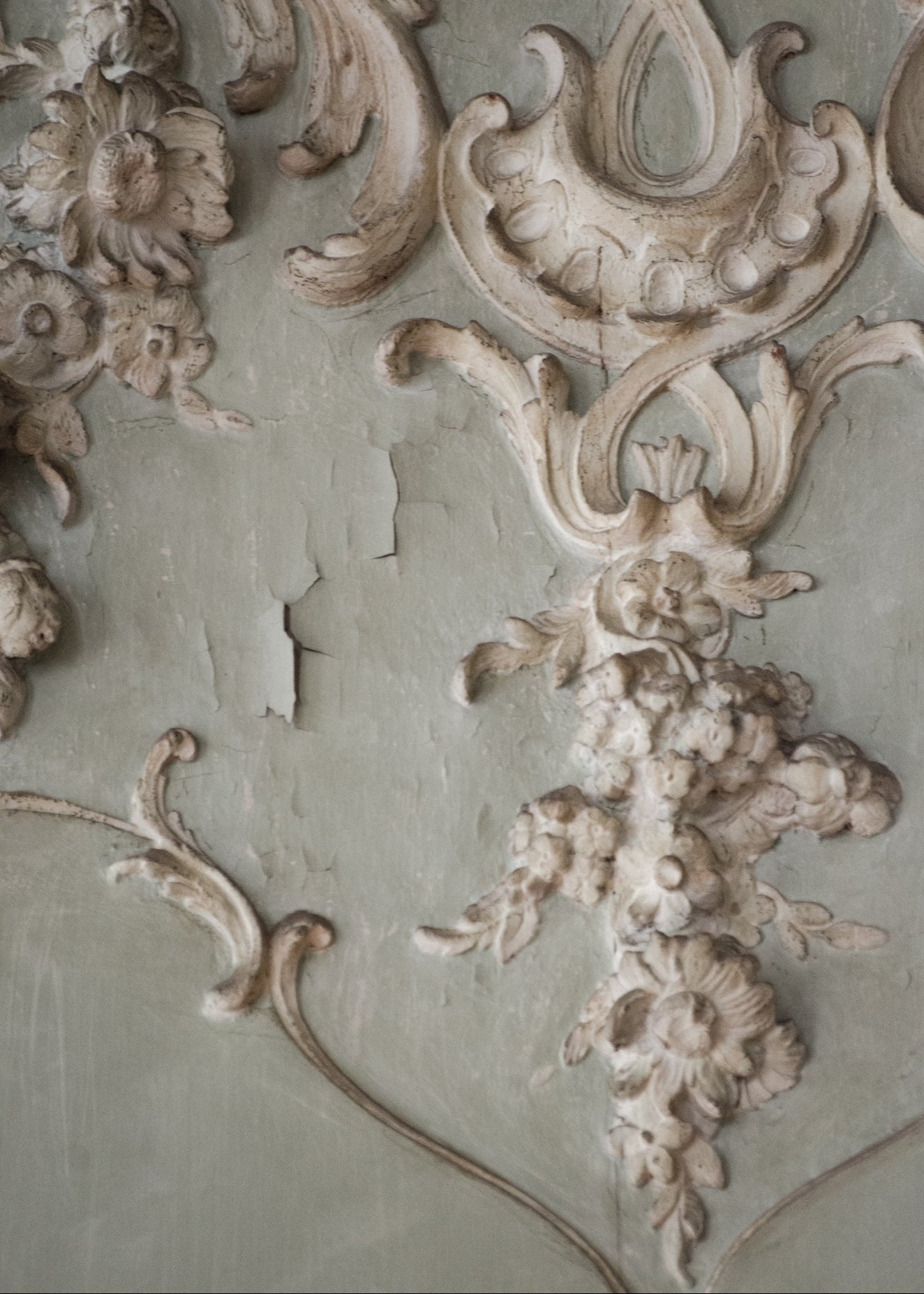 Rococo boiserie closup - Hotel de Soubisse, Paris