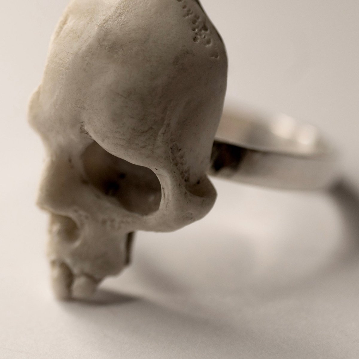 Skull Fragment ring - Macabre Gadgets