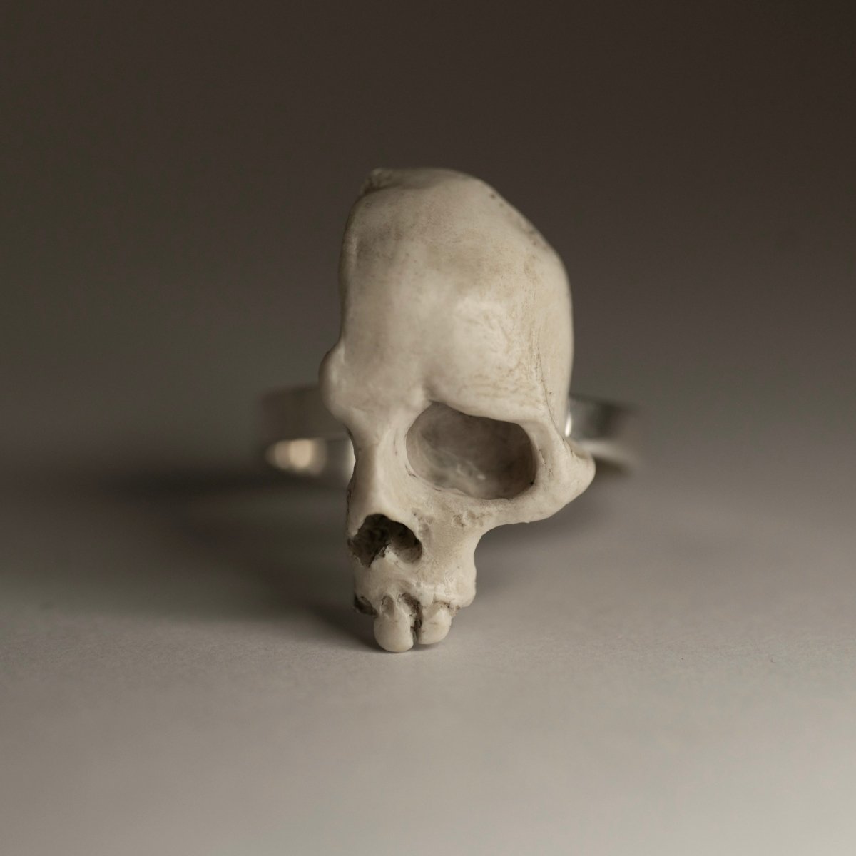 Skull Fragment ring - Macabre Gadgets