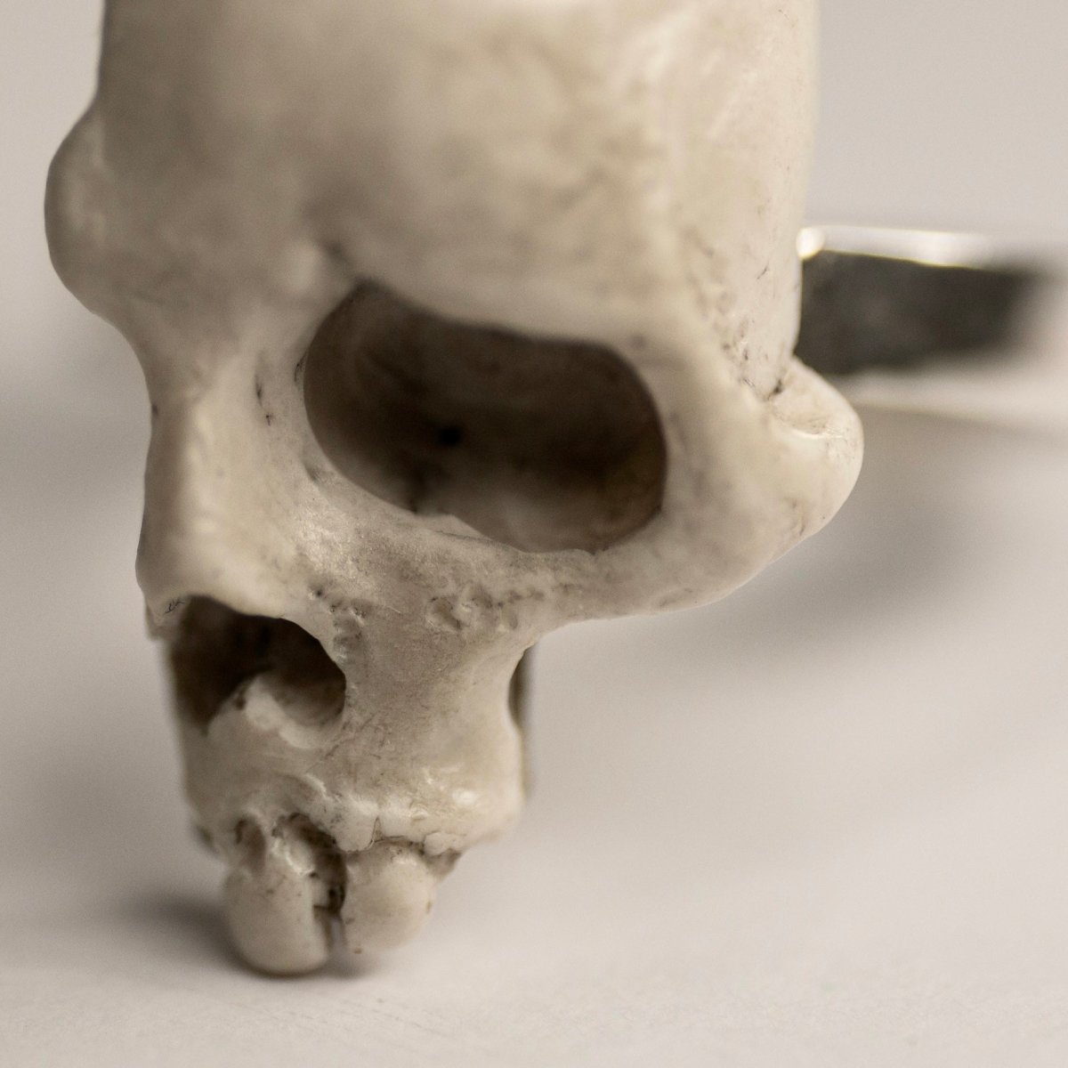 Skull Fragment ring - Macabre Gadgets