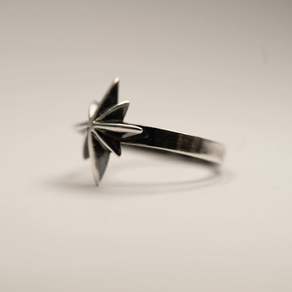 star-ring-194606_grande.jpg?v=