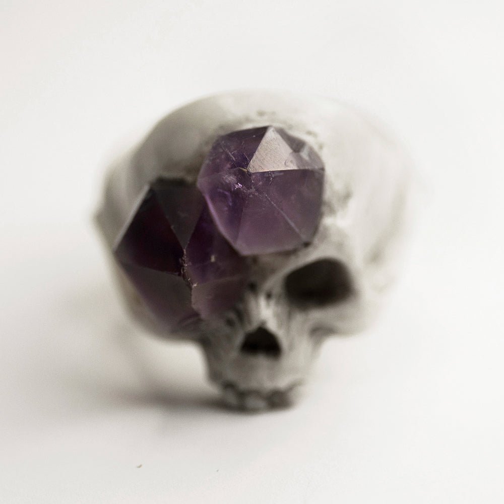 AMETHYST GROWTH RING - Macabre Gadgets Store