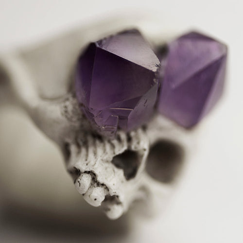 Amethyst Crystal Skull Ring - close up on a stunning purple amethyst emerging from the skull