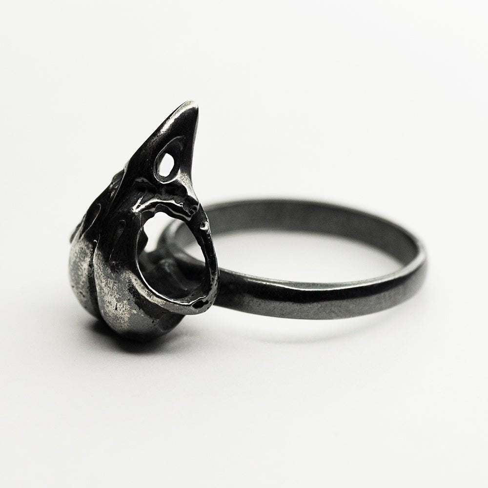 BIRD RING - Macabre Gadgets Store
