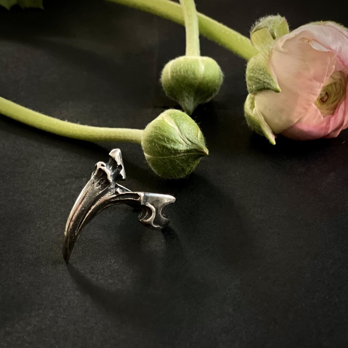 CLAW PHALANX RING - Macabre Gadgets Store