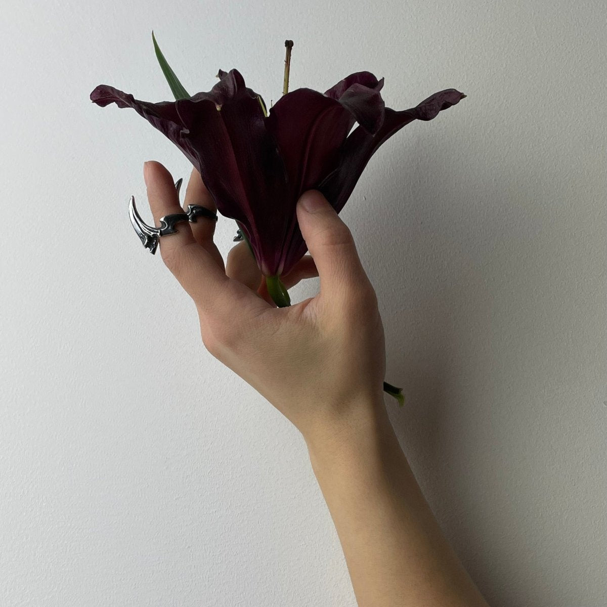 Claw phalanx ring on a model's hand, model holding a dark almost black lily flower