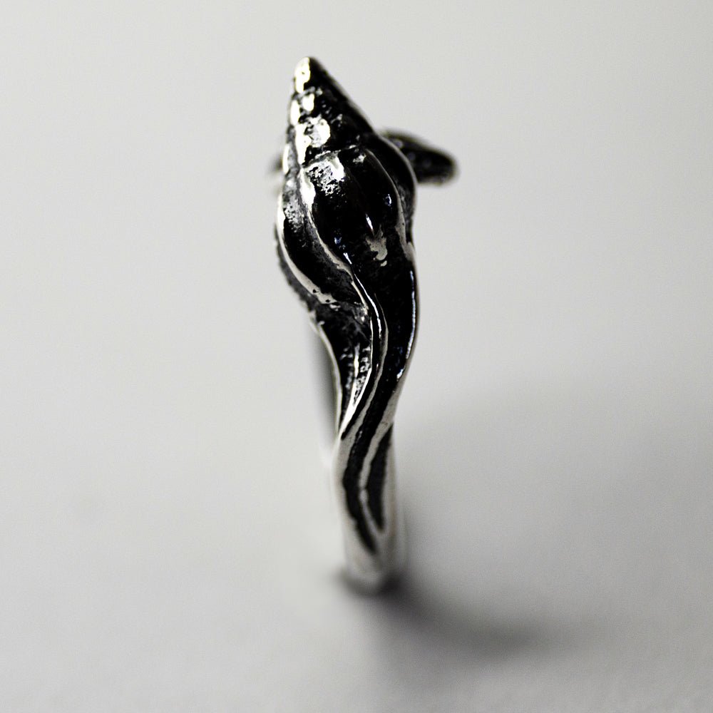 LATIRUS SHELL RING - Macabre Gadgets Store