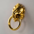 Lion earring gold-plated stud in shape of lion's head with hoop in mouth, Greek mythology animal jewelry