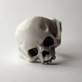 Skull ring - skull with missing jaw, with bone-like texture on beige background