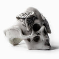 Moths skull ring on a white background, semi profile view