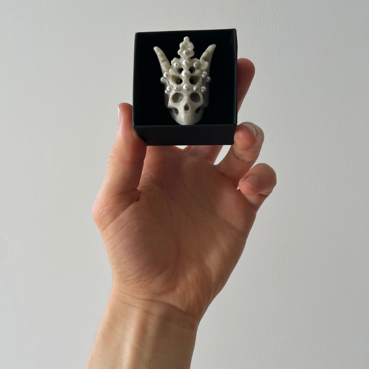 Pearl Crown Skull ring in jewelry box — white marble skull ring with pearl-tipped crown, hand detail | Macabre Gadgets