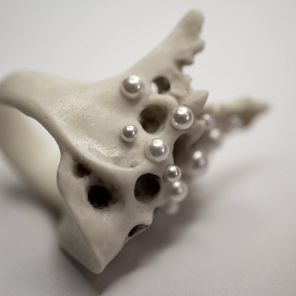 Pearl Crown Skull ring — white marble skull wearing fleur-de-lys crown with vegan pearl spires, beige background | Macabre Gadgets