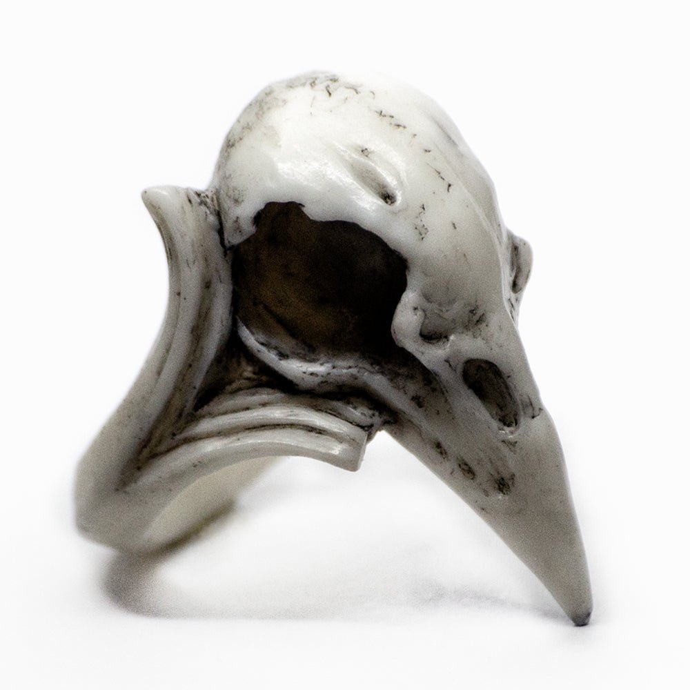 RAVEN SKULL RING - Macabre Gadgets Store