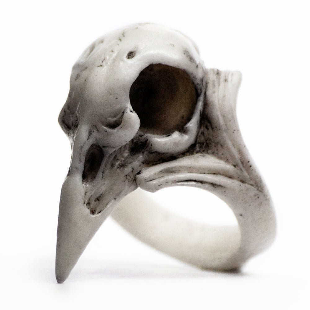 RAVEN SKULL RING - Macabre Gadgets Store