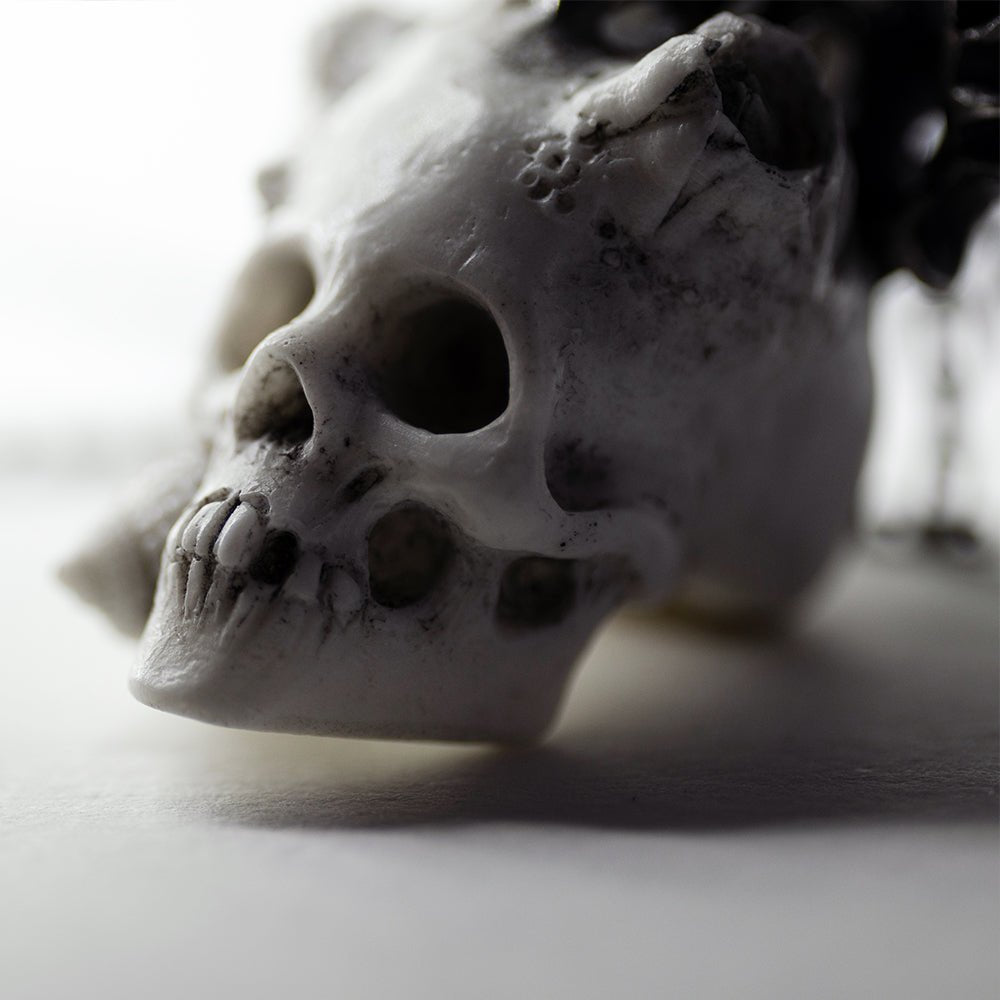 REEF SKULL PENDANT - final sale - Macabre Gadgets