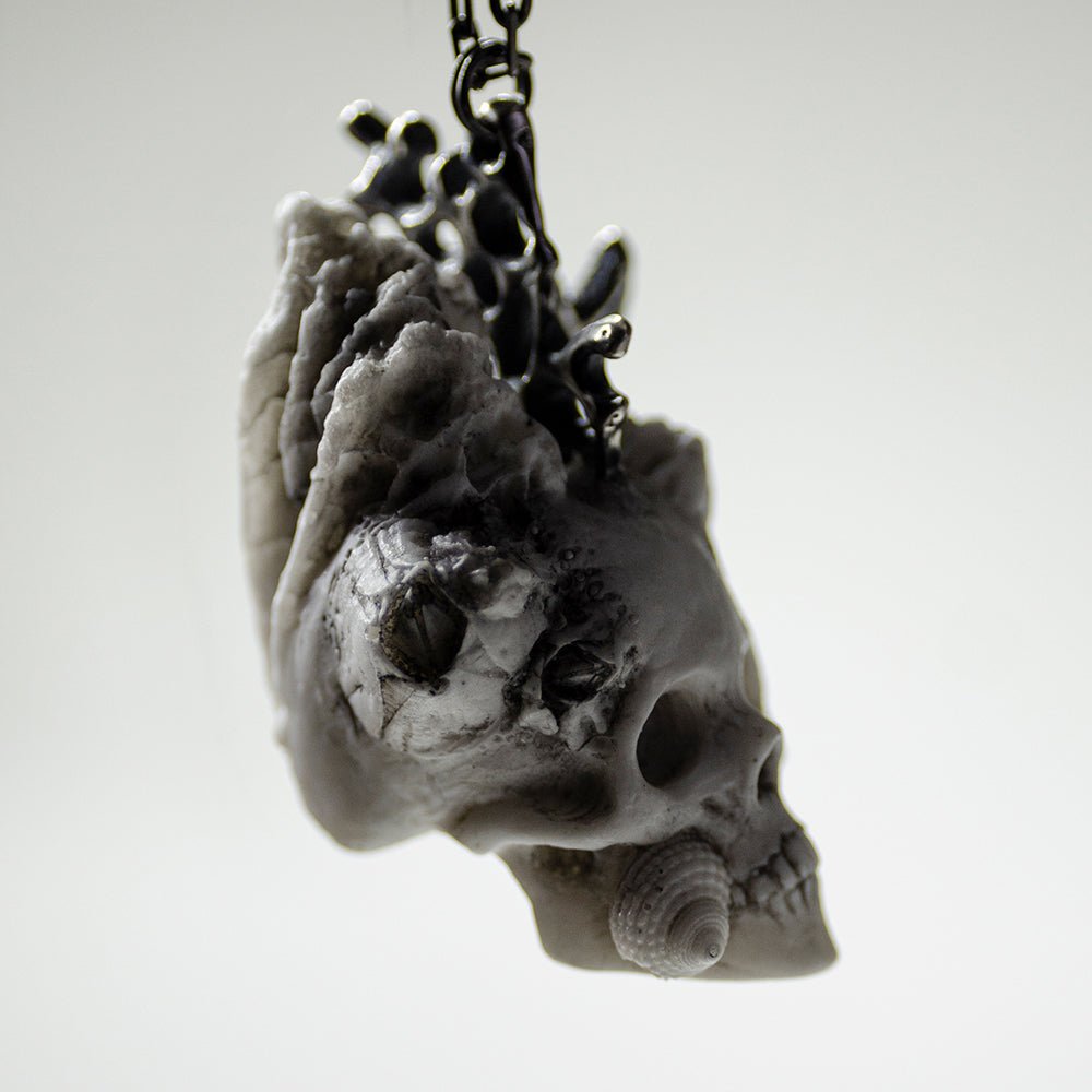 REEF SKULL PENDANT - final sale - Macabre Gadgets