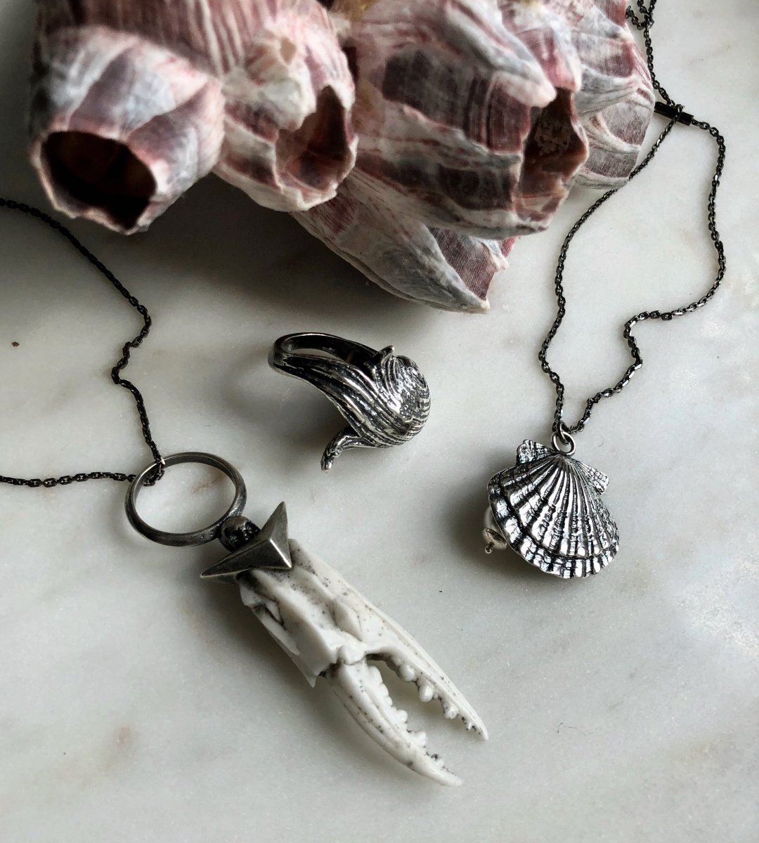 Haffrú - Silver seashell necklace in solid sterling silver | Silver  seashells, Silver seashell necklace, Seashell necklace