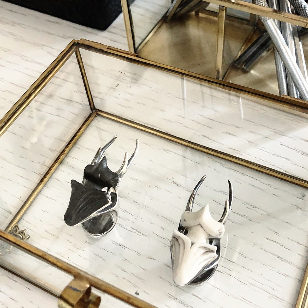 The Stag Beetle Ring - both white and black variants placed in a glass box