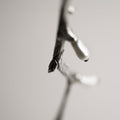 Silver Twig pendant close up on a twig details